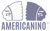 Logo Americanino